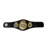 WBO Boxing Champion Ship Belt Replica - Image 3