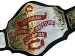 NWA American Heavyweight Wrestling Championship Belt - Image 5