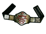 NWA American Heavyweight Wrestling Championship Belt - Image 3