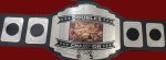 Custom Name and Friend Group Photo Logo Wrestling Championship Belt - Image 4