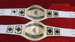 Custom Name and Golden Bull Logo Wrestling Championship Belt - Image 5