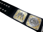 NWA Tag Team Championship Belt Replica - Image 7