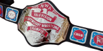 NWA Television Heavyweight Wrestling Champion Belt Zinc Plates Replica BUY - Image 5