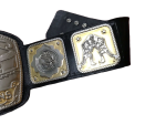NWA Tag Team Championship Belt Replica - Image 6