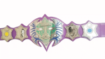 TNA Jeff Hardy Immortal Heavyweight Championship Belt Replica - Image 5