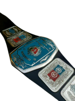 Missouri States Heavyweight Wrestling Championship Belt - Image 10