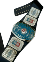 Missouri States Heavyweight Wrestling Championship Belt - Image 8