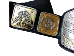 NWA Tag Team Championship Belt Replica - Image 8