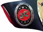 NWA Television Heavyweight Wrestling Championship Title Belt Replica - Image 4