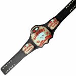 WCPW Hardcore Skull Wrestling Championship Belt - Image 4