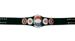 NWA United States Heavyweight Wrestling Championship Belt - Image 4