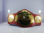 NWA United States Tag Team Championship Belt Replica - Image 2
