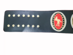 NWA Television Heavyweight Wrestling Championship Title Belt Replica - Image 5