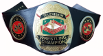 NWA Television Heavyweight Wrestling Championship Title Belt Replica