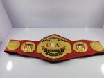 NWA United States Tag Team Championship Belt Replica - Image 3