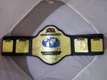 WCW World Television Championship Wrestling Belt Replica - Image 4