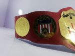 NWA United States Tag Team Championship Belt Replica - Image 4