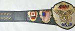 ROH Ring Of Honor Wrestling Championship Belt Replica - Image 5