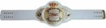 TNA Women Heavyweight Wrestling Championship Belt Replica - Image 4