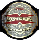 TNA X Division Wrestling Heavyweight Belt Replica