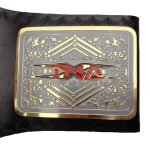 TNA X Division Wrestling Heavyweight Belt Replica - Image 4