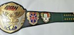 ROH Ring Of Honor Wrestling Championship Belt Replica - Image 4