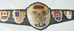 ROH Ring Of Honor Wrestling Championship Belt Replica - Image 2