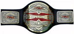 TNA X Division Wrestling Heavyweight Belt Replica - Image 2