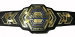 TNA Grand Impact Wrestling championship Belt Replica - Image 2