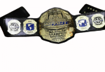 TNA IMPACT Wrestling Championship Title Belt Replica - Image 2