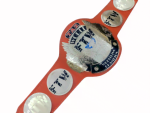TAZ FTW World Heavyweight Wrestling Championship Belt Replica 2 - Image 3