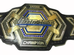 TNA Grand Impact Wrestling championship Belt Replica - Image 3
