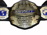 TNA IMPACT Wrestling Championship Title Belt Replica