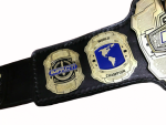 TNA IMPACT Wrestling Championship Title Belt Replica - Image 4
