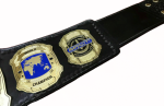 TNA IMPACT Wrestling Championship Title Belt Replica - Image 5