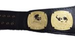 New AEW Trios World Wrestling Championship Belt - Image 6