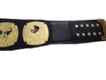 New AEW Trios World Wrestling Championship Belt - Image 7