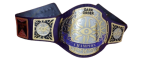 NEW AEW DARK TNT WRESTLING CHAMPIONSHIP BELT ADULT SIZE - Image 5